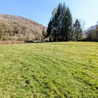 Property 27