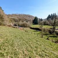Property 32