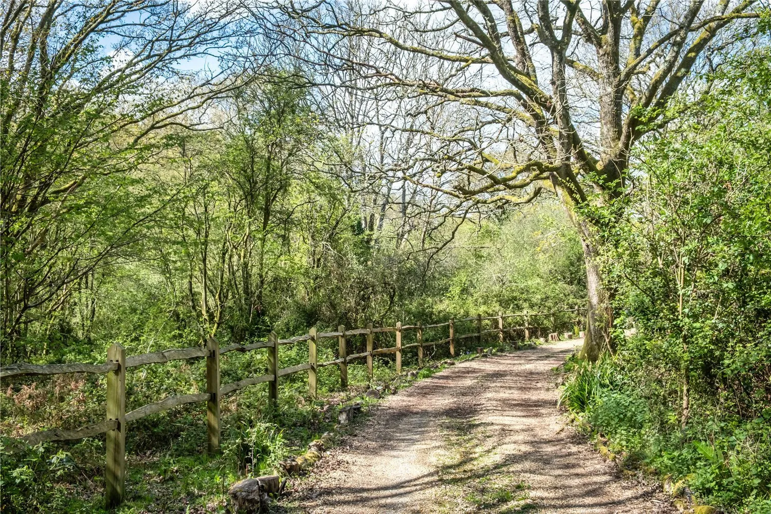 River Common, Petworth, GU28 photo 11