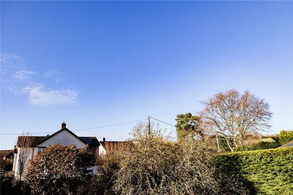 Waterleat Gardens, Newton Poppleford, EX10 photo 8