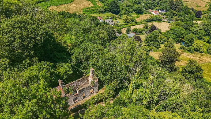 Property Image 6