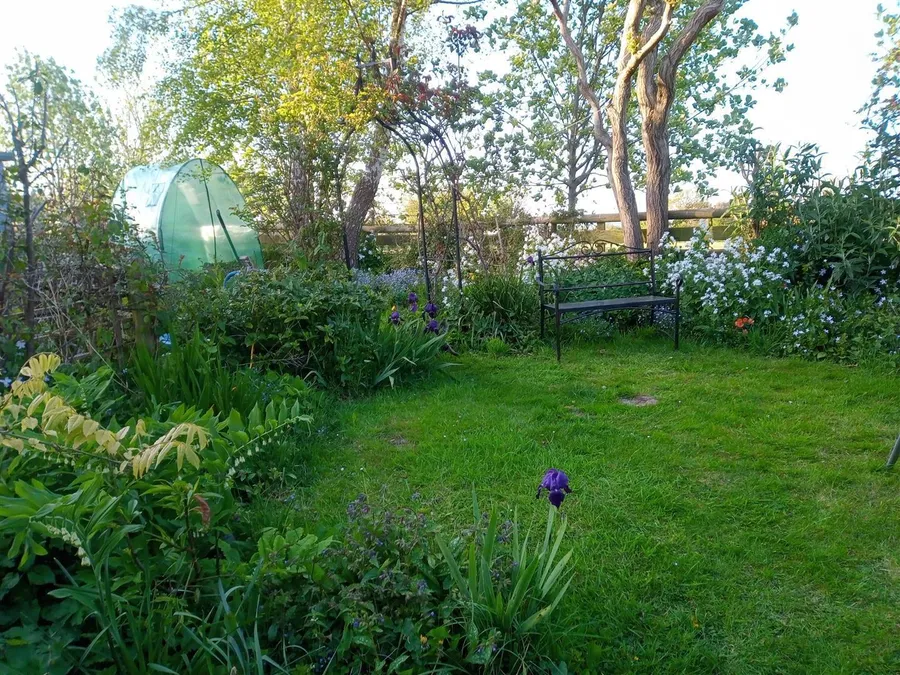 Property Image 25