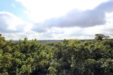 Muswell Hill, Muswell Hill, London