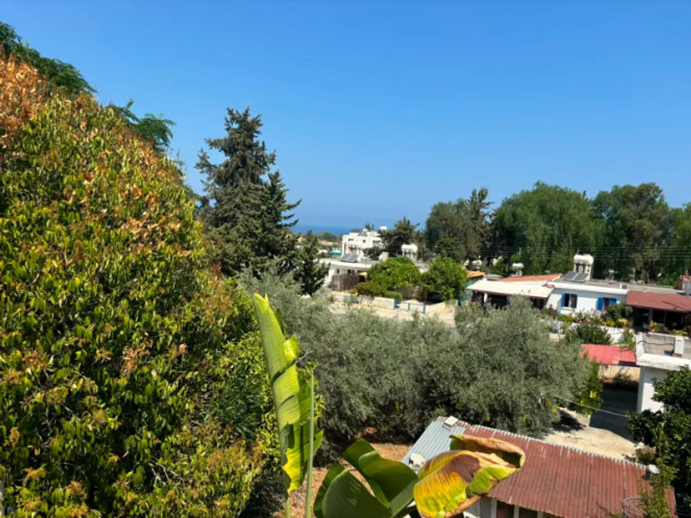 3 bedroom detached Villa : Prodromi, Paphos