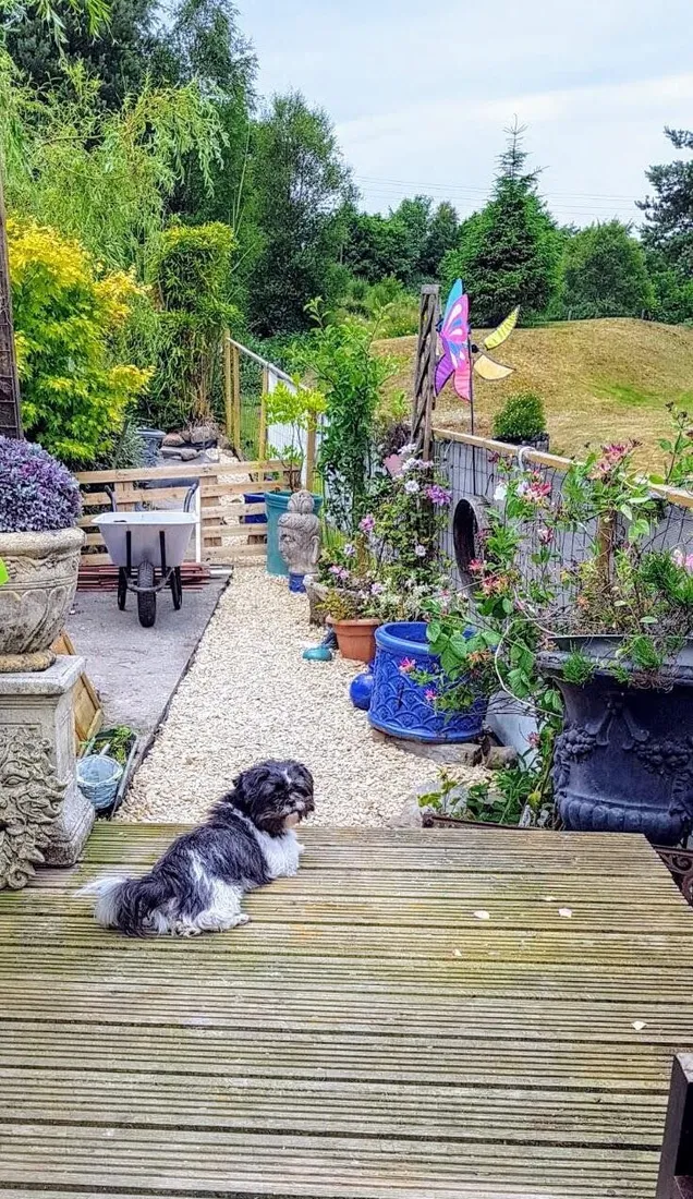 Property photo 18