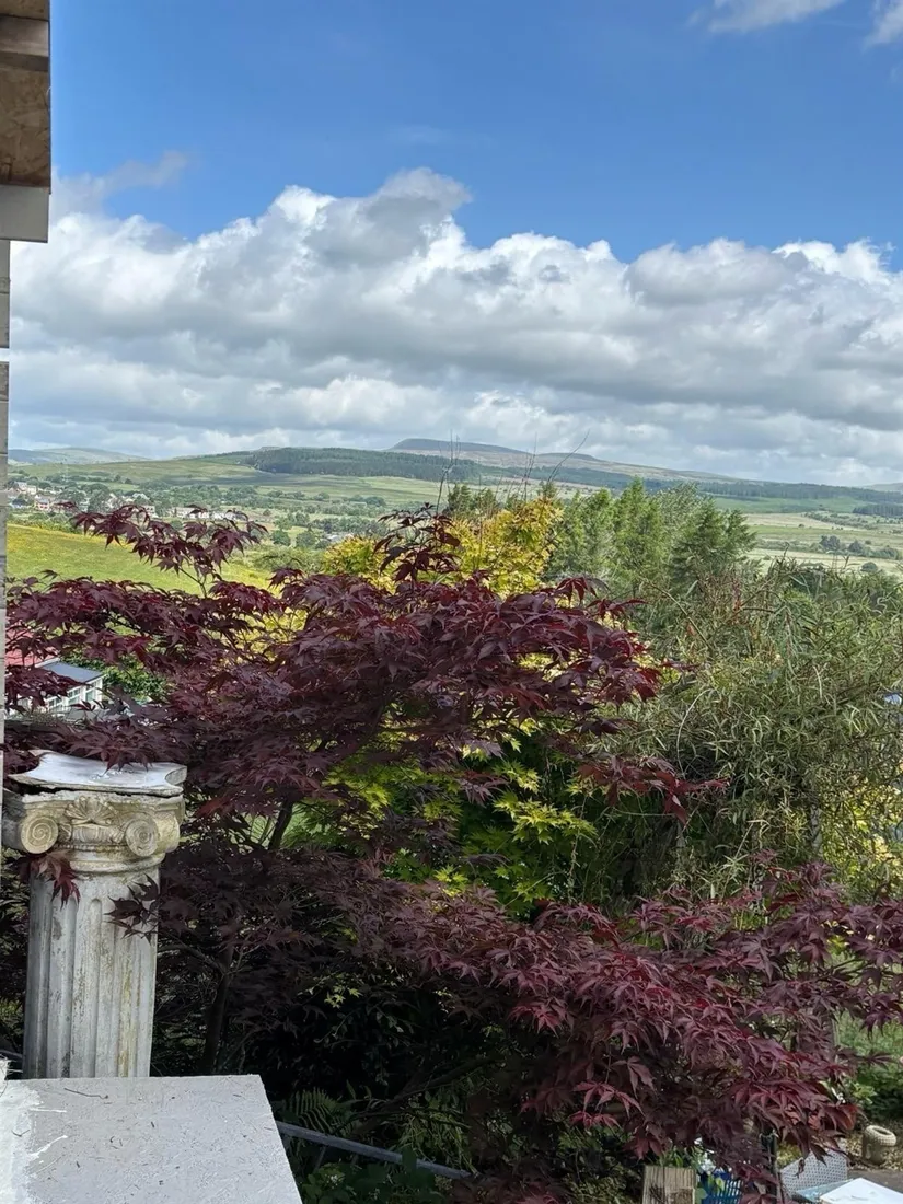 Property photo 26