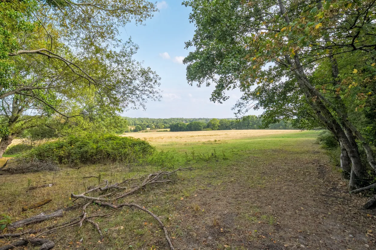 Meadow Way, Thatcham, RG19 photo 15