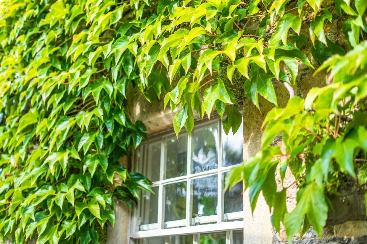Wellow Bath BA2 photo 21