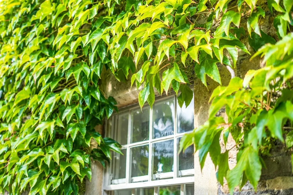 Wellow Bath BA2 photo 21