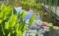 Property image gallery