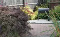 Property image gallery