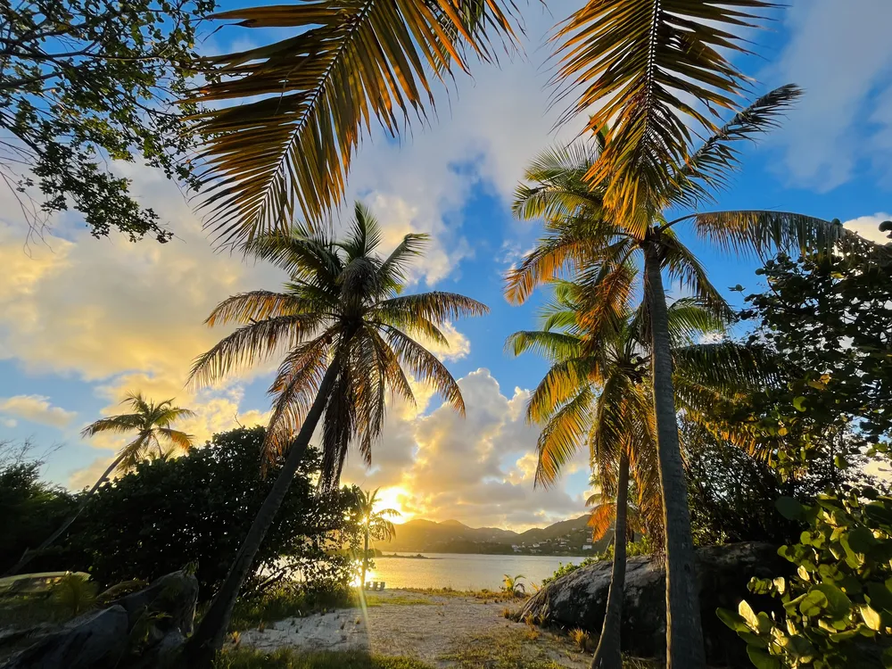 Tortola