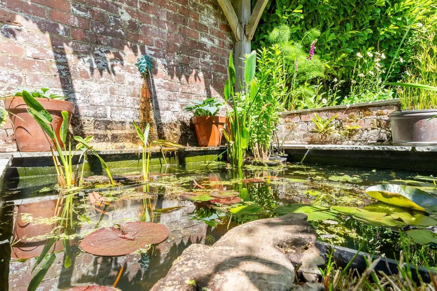 Property Image 39