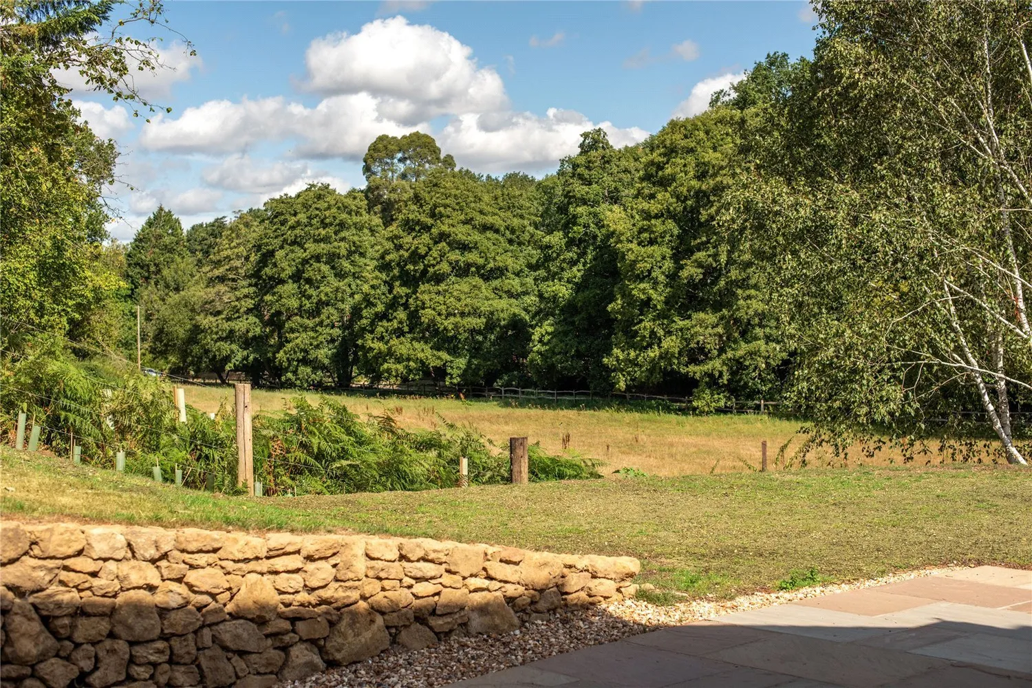 Horsham Road, Abinger Hammer, RH5 photo 20