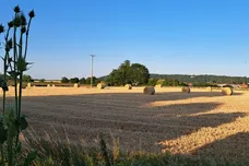 Broughton Park, Shoreditch, Taunton