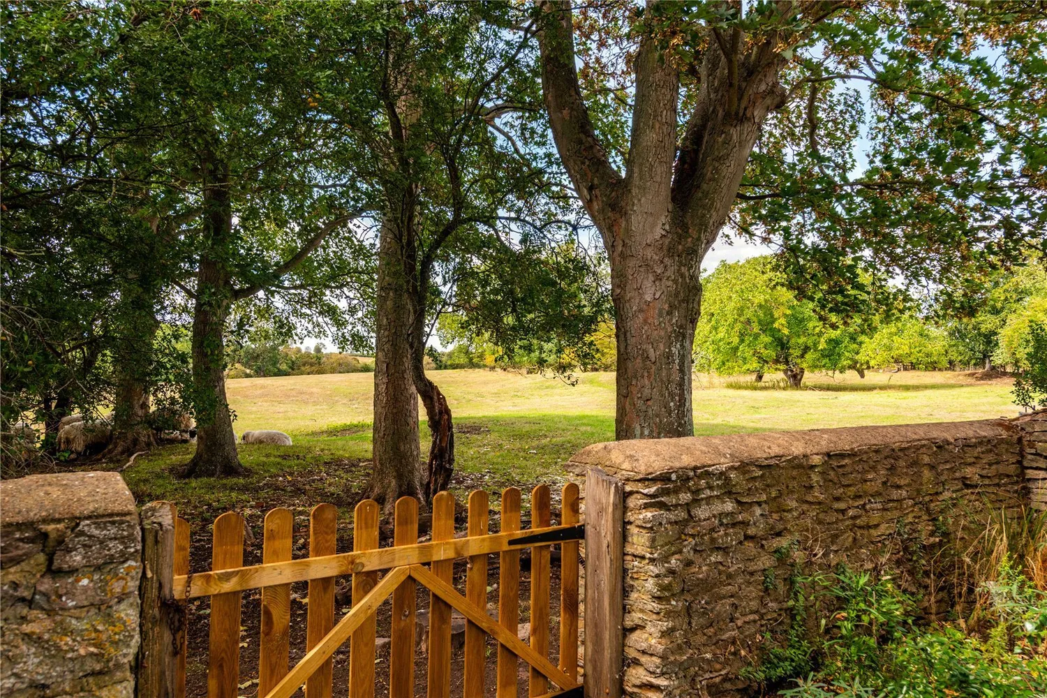 Main Street, Wadenhoe, PE8 photo 19