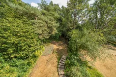 Frognal Gardens London NW3 photo 11