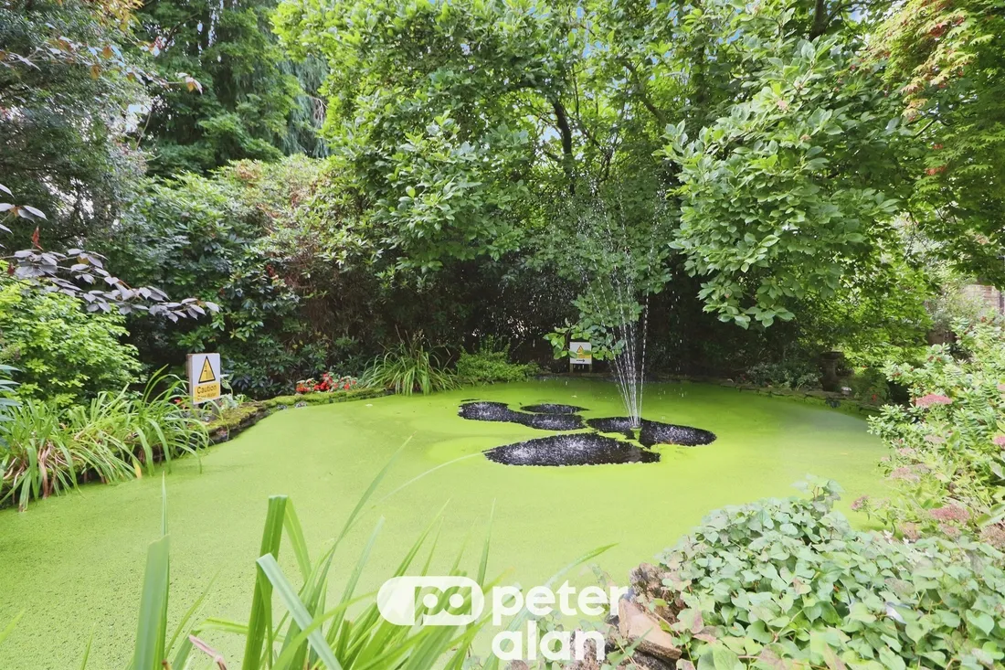 Property photo 16