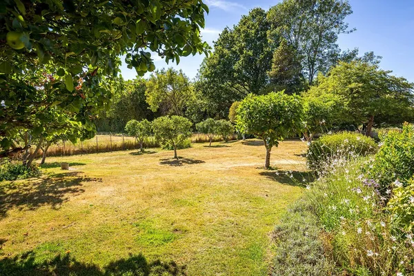 Hoyle Lane, Heyshott, GU29 photo 7