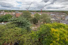 Holly Road, Twickenham, TW1 photo 9