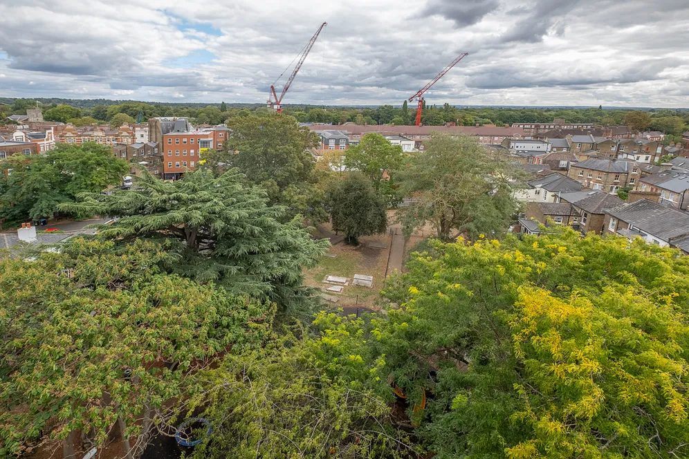 Holly Road, Twickenham, TW1 photo 9