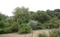 Property image gallery