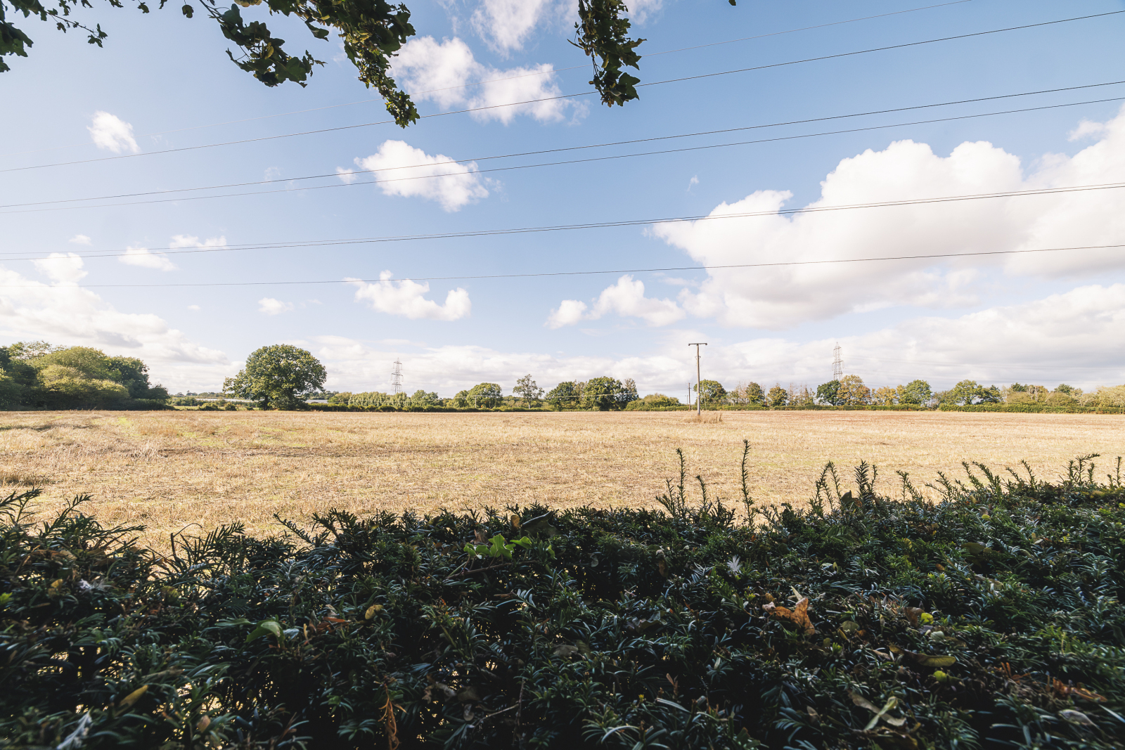 Alder Close, Walford, Ross-on-Wye, Herefordshire, HR9 Image 18