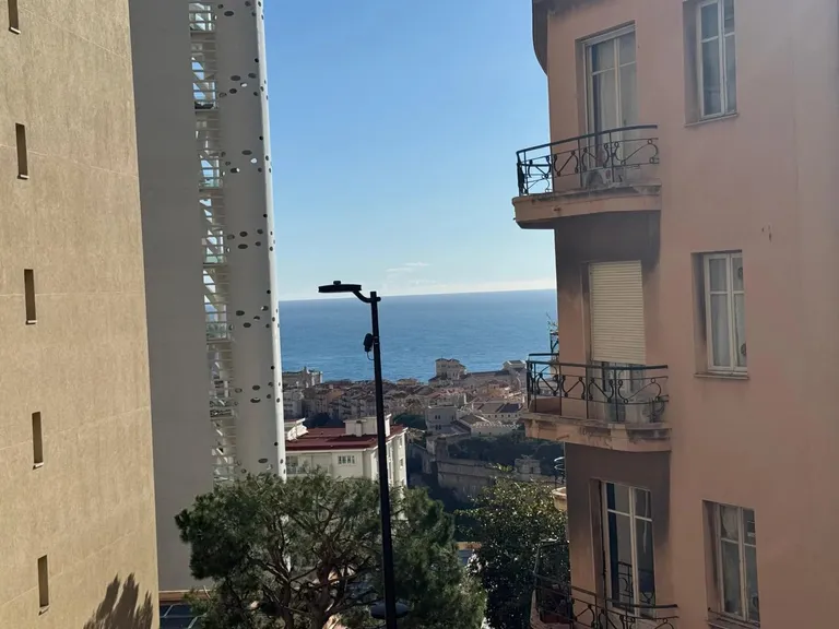 Monaco (Jardin Exotique), 98000, Monaco