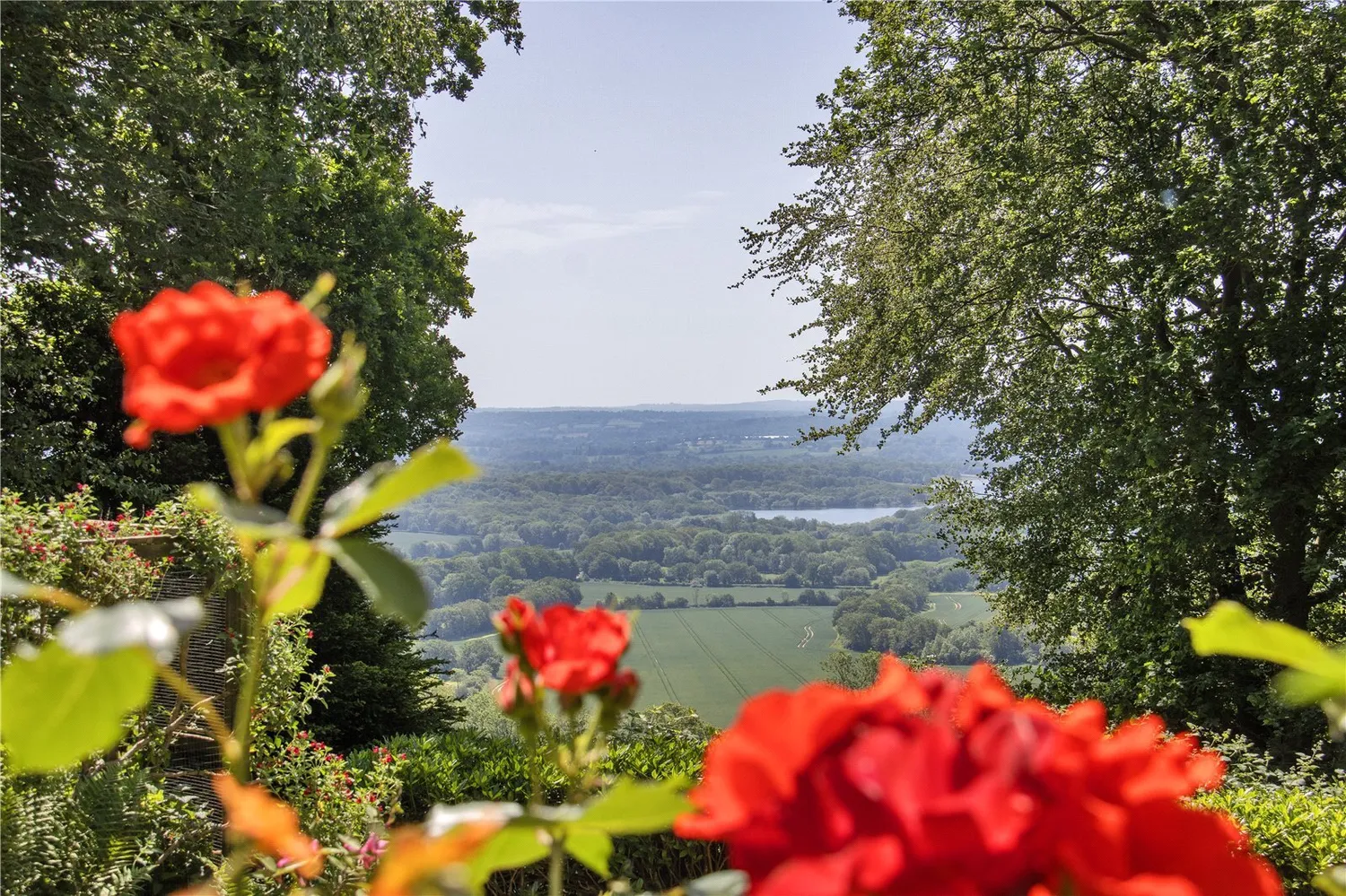 Hanging Bank, Ide Hill, TN14 photo 21