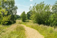 Edmondsham Road, Fordingbridge, Verwood