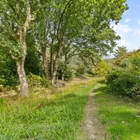 Property 33