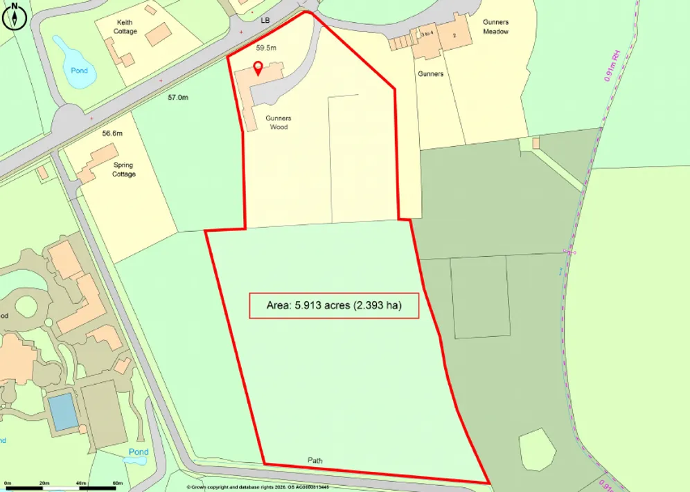 Chertsey Road, Windlesham, GU20 photo 4