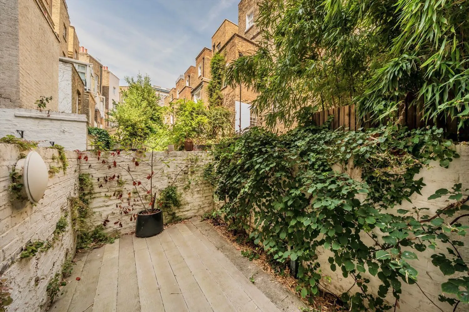 Clarendon Street, London, SW1V photo 7