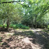 Property 6