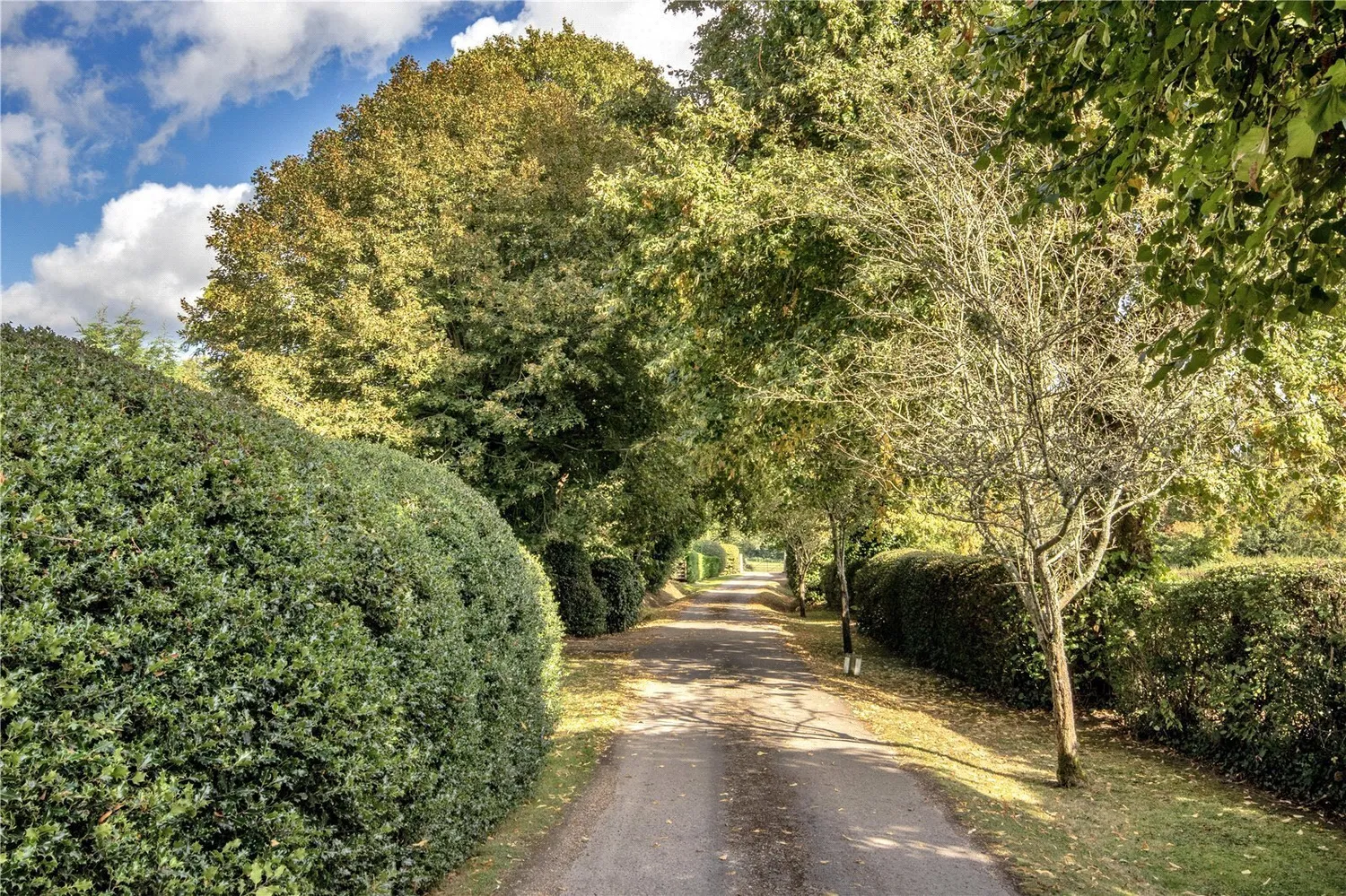 Hinksden Road, Benenden, TN17 photo 5