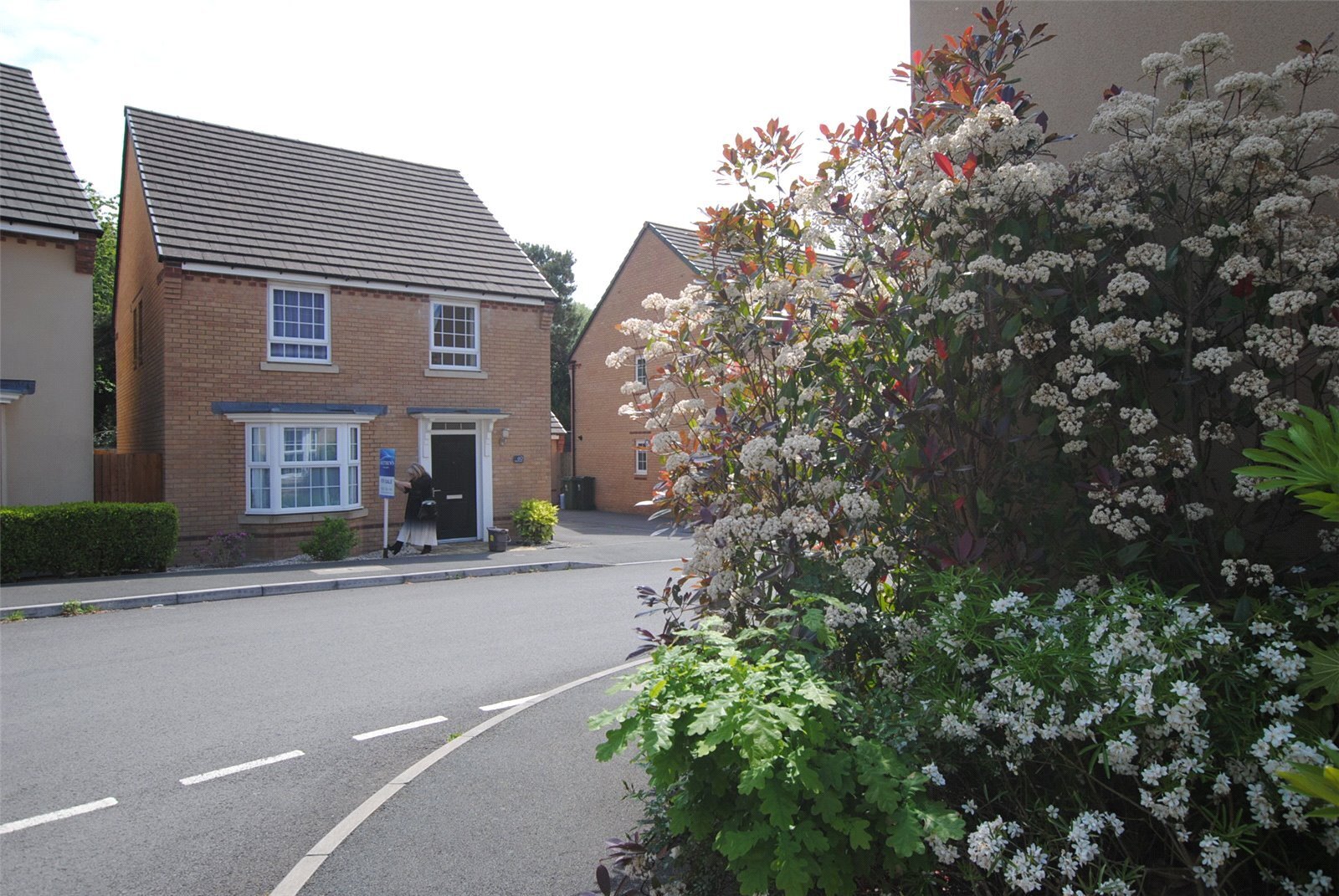 Cypress Crescent, St Mellons, Cardiff, CF3 Image 31