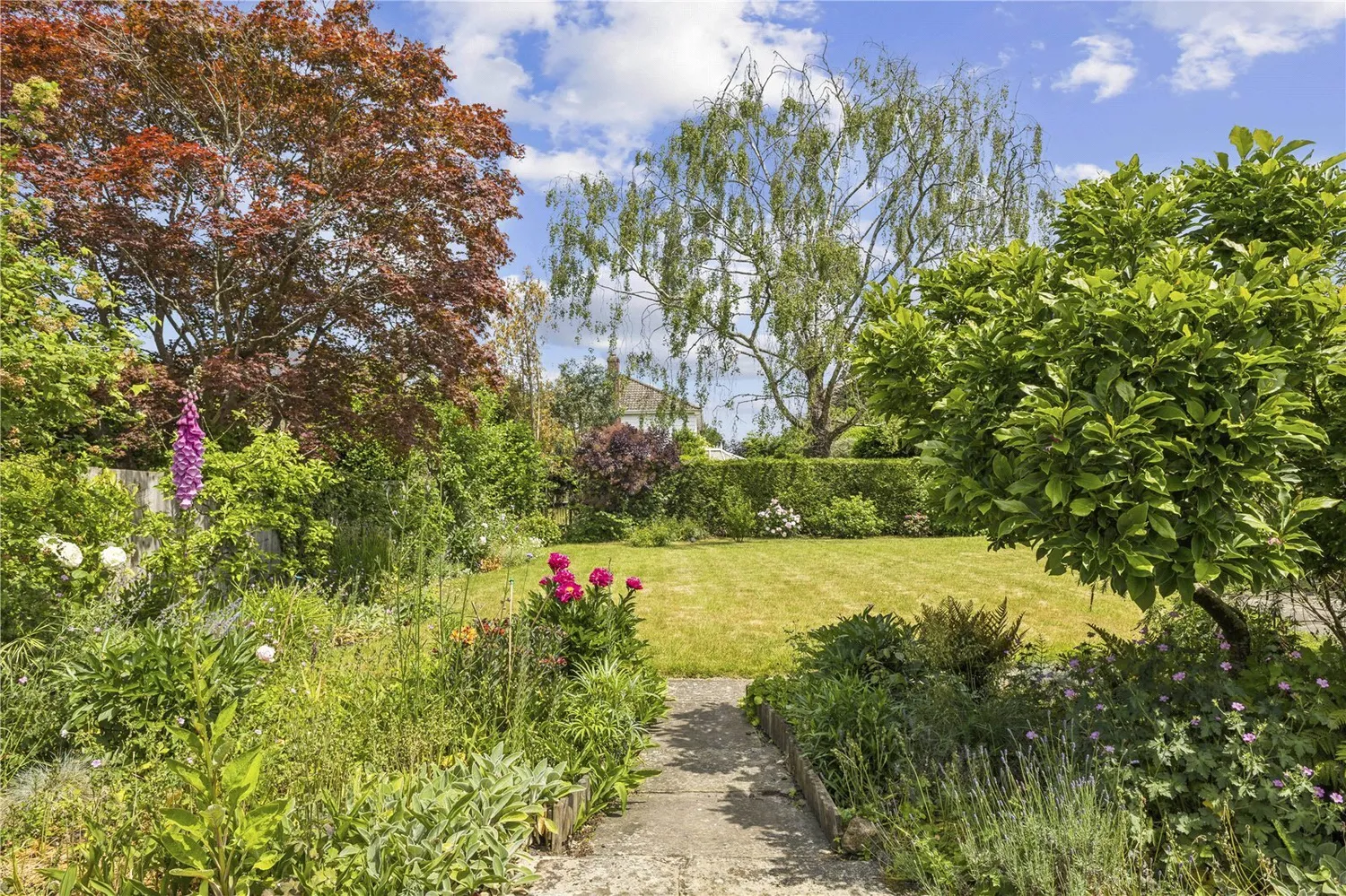 Petersfield Road, Midhurst, GU29 photo 4