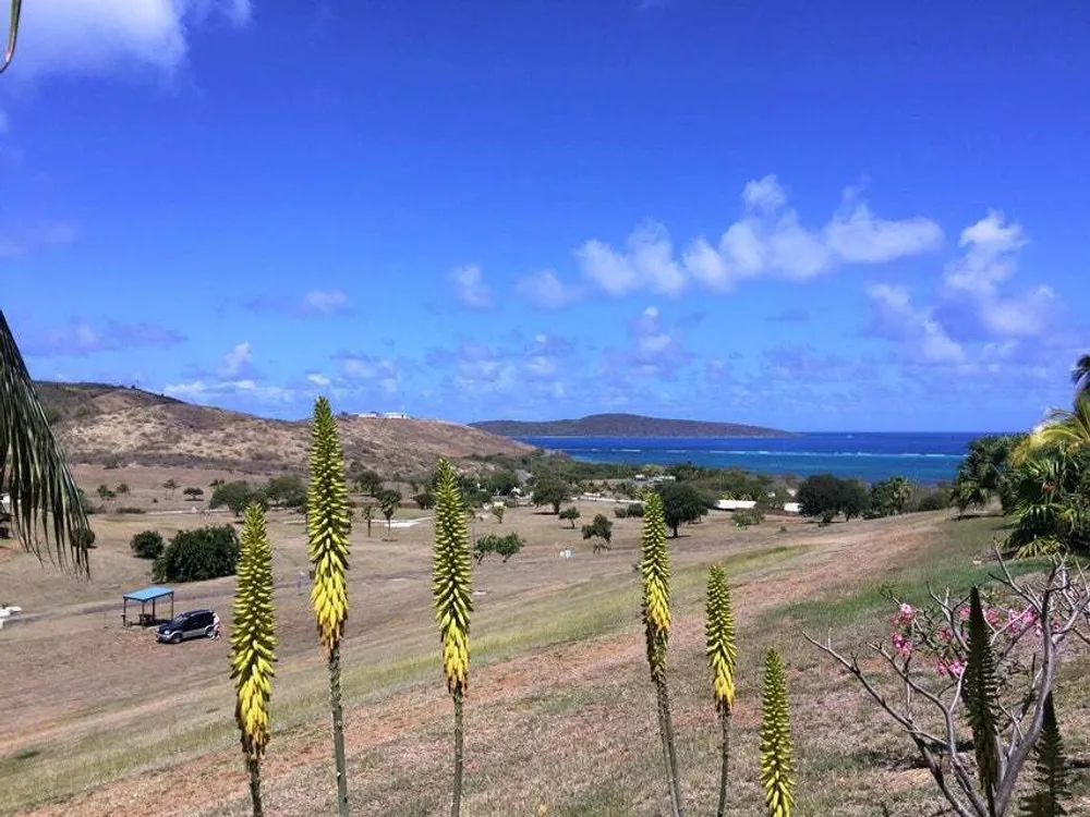 137 Teagues Bay EB, The Reef St. Croix St. Croix