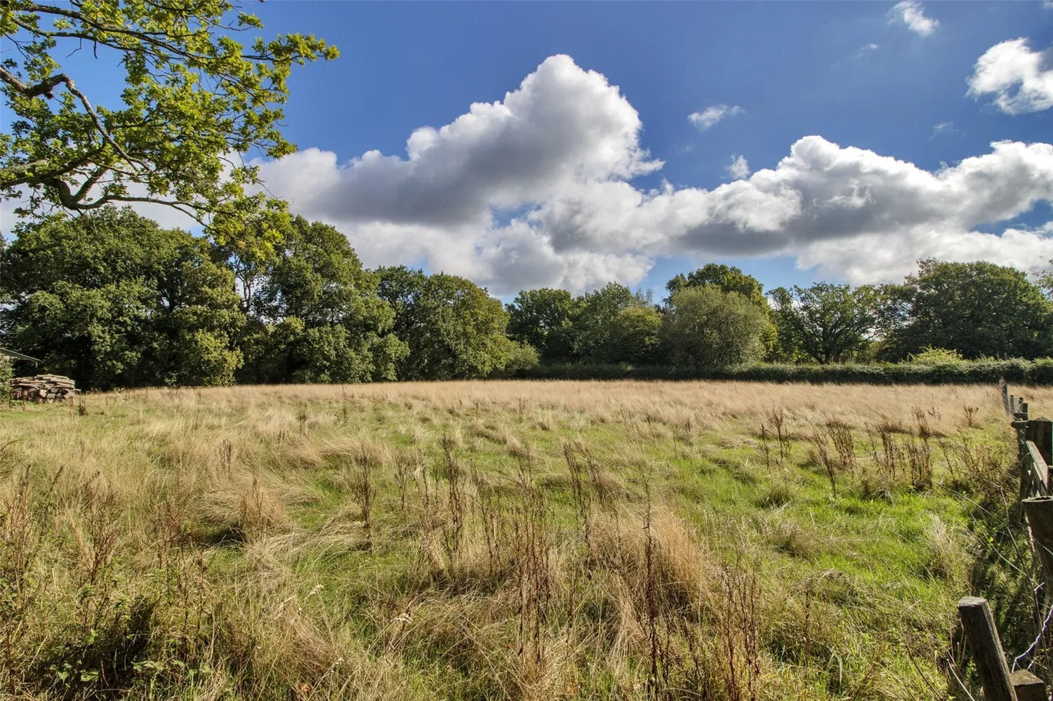 Cranbrook Road, Benenden, TN17 photo 19