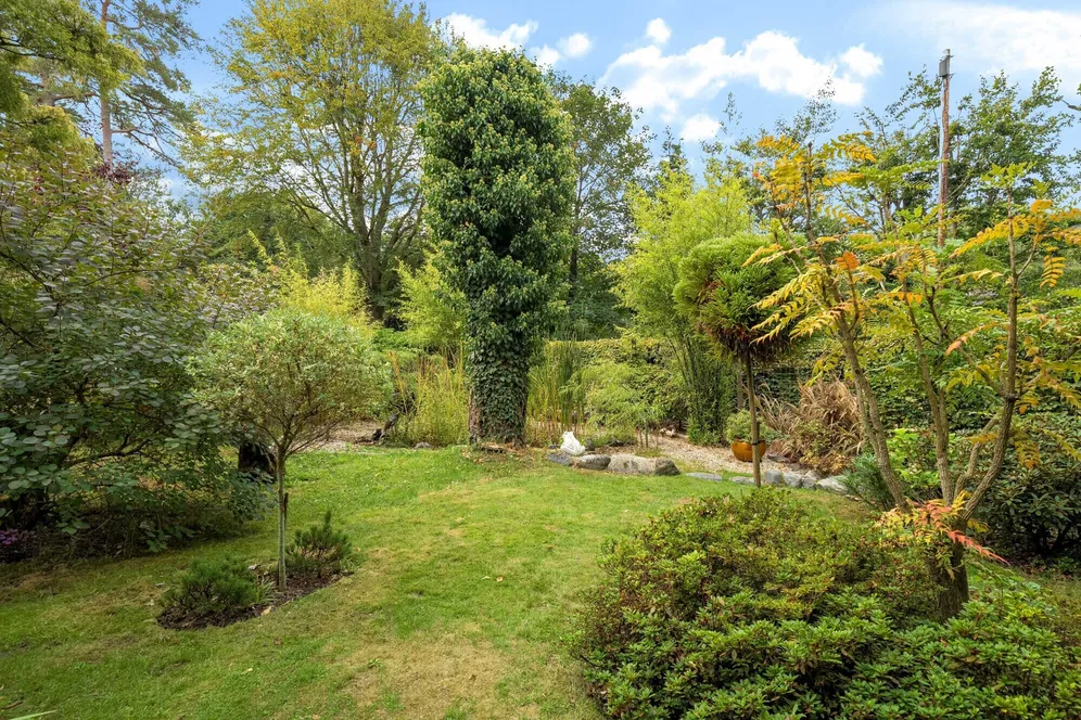 Crosswater Lane, Churt, Farnham, GU10 photo 20