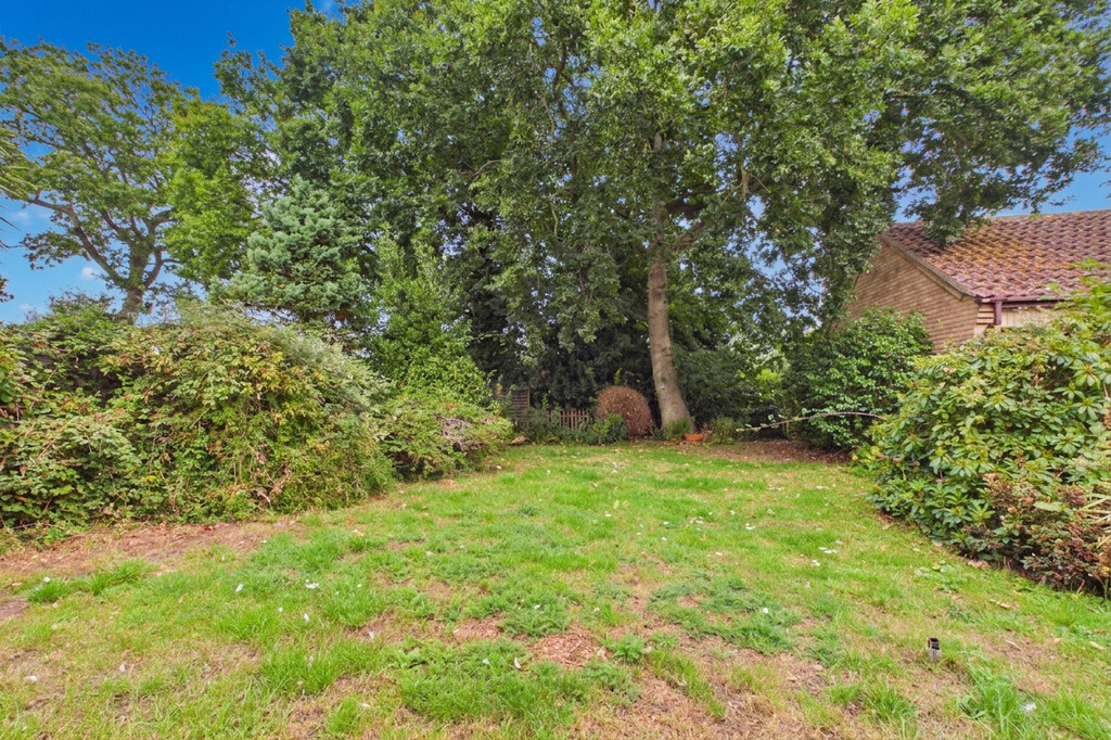 The Meadows, Thurton Image 14