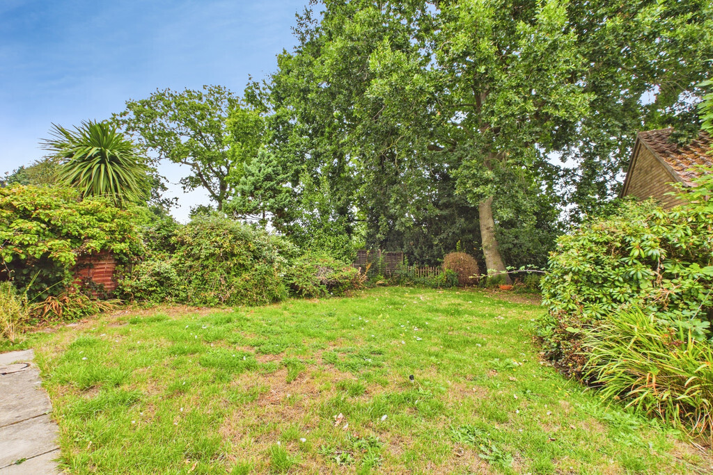The Meadows, Thurton Image 15