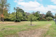Manor Fields, London, SW15 photo 12