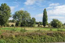 Marquis Lane, Harpenden, AL5 photo 10
