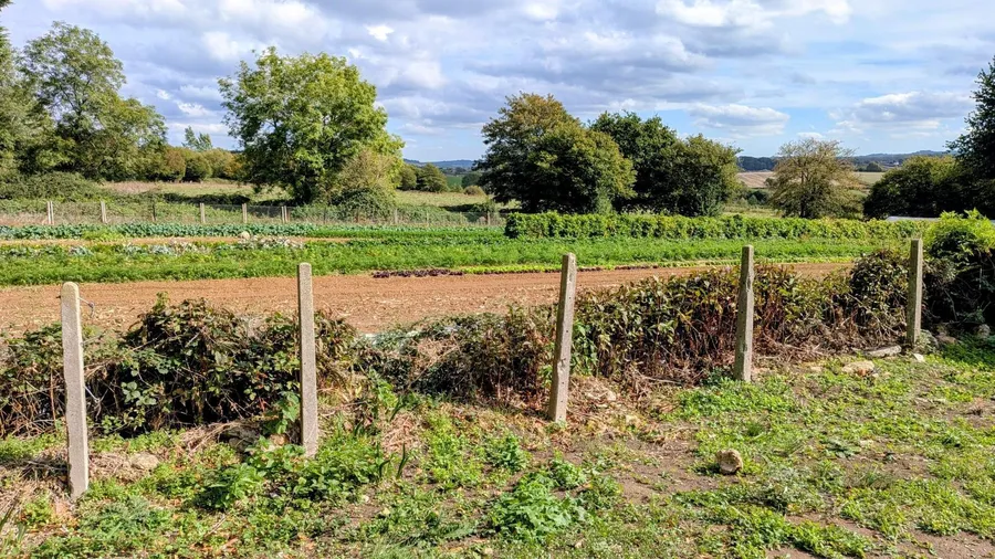 Property Image 22
