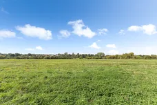 Chestnut Close, Salisbury, SP1 photo 19
