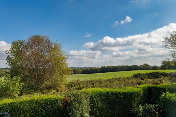 Plummerden Lane, Lindfield, RH16 photo 11