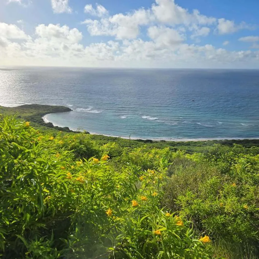 50 and 51 Catherine's Hope EB St. Croix St. Croix