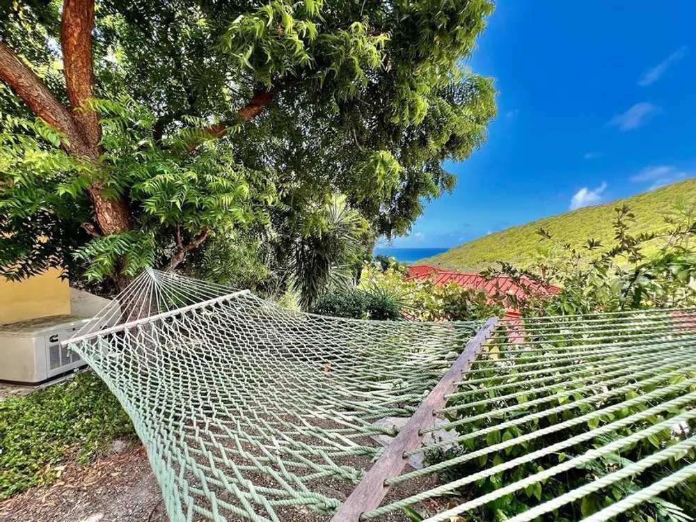 44 Teagues Bay EB, Villa Madeleine St. Croix St. Croix