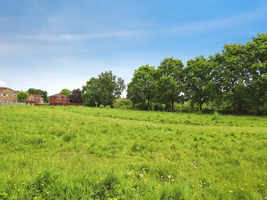 Property photo 11